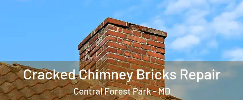 Cracked Chimney Bricks Repair Central Forest Park - MD