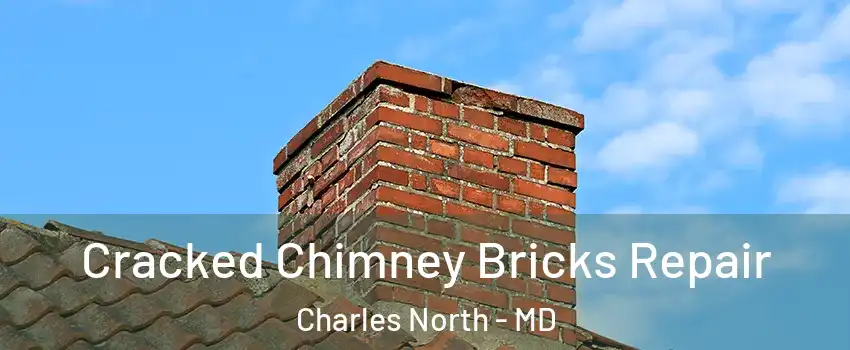 Cracked Chimney Bricks Repair Charles North - MD