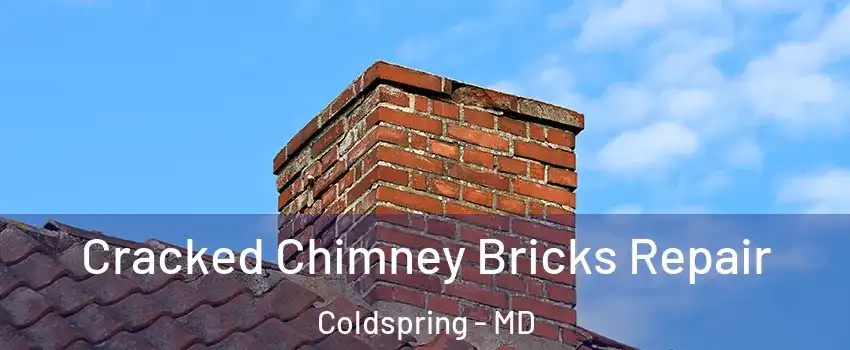 Cracked Chimney Bricks Repair Coldspring - MD