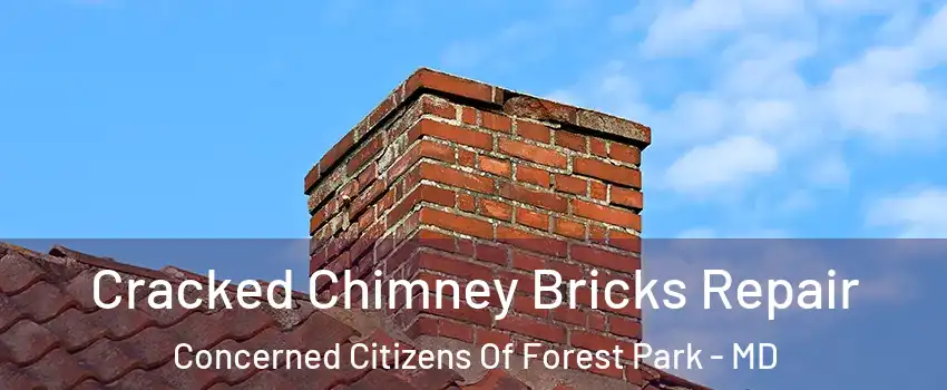 Cracked Chimney Bricks Repair Concerned Citizens Of Forest Park - MD