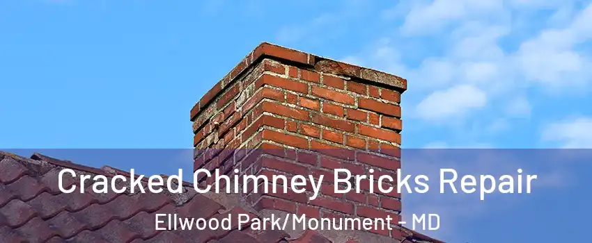 Cracked Chimney Bricks Repair Ellwood Park/Monument - MD