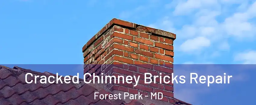 Cracked Chimney Bricks Repair Forest Park - MD