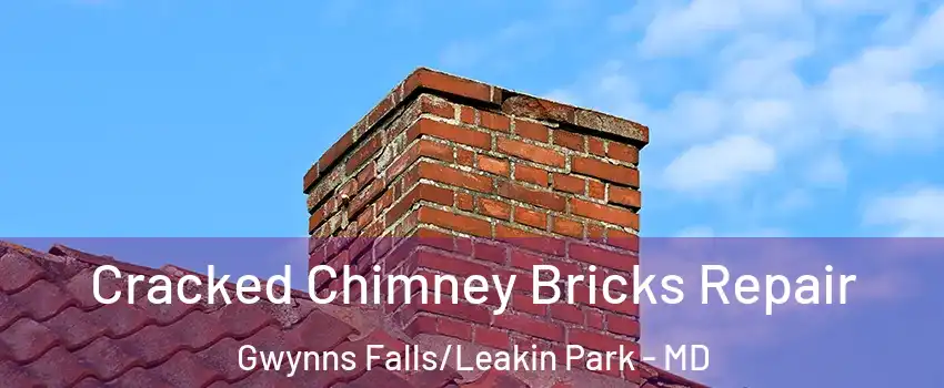 Cracked Chimney Bricks Repair Gwynns Falls/Leakin Park - MD