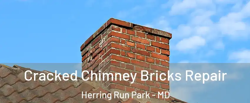 Cracked Chimney Bricks Repair Herring Run Park - MD