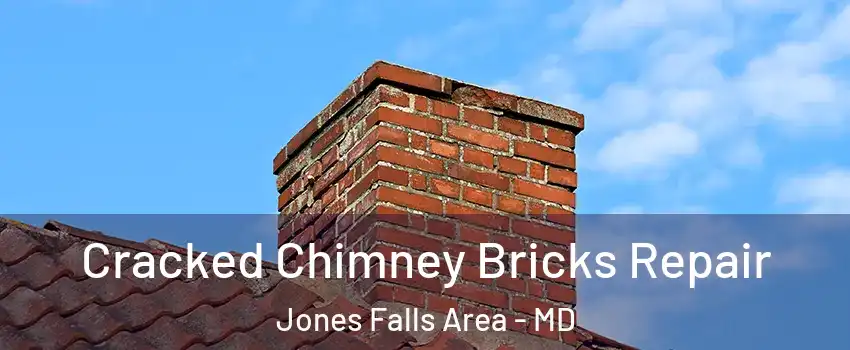 Cracked Chimney Bricks Repair Jones Falls Area - MD
