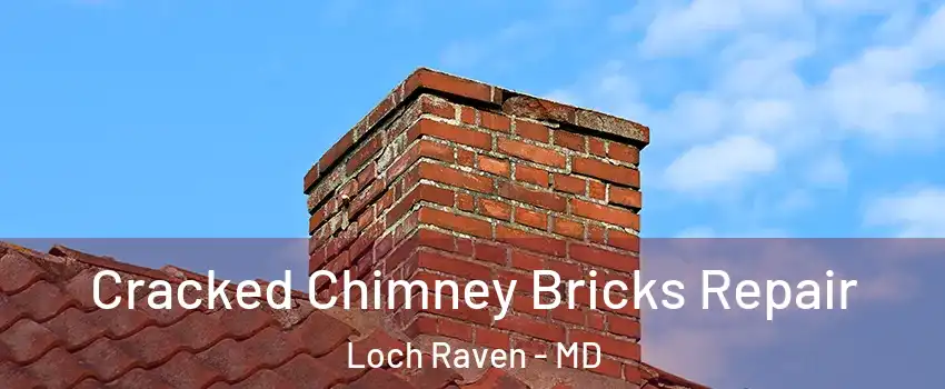 Cracked Chimney Bricks Repair Loch Raven - MD