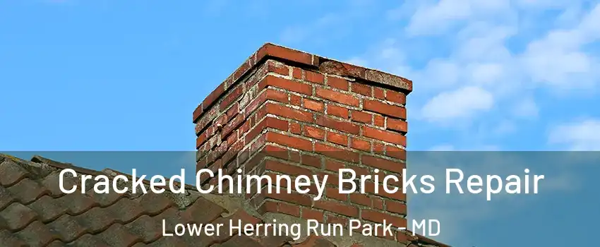 Cracked Chimney Bricks Repair Lower Herring Run Park - MD