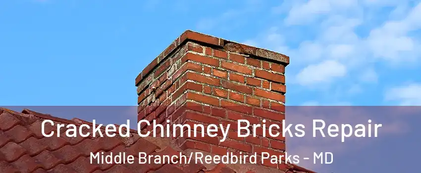 Cracked Chimney Bricks Repair Middle Branch/Reedbird Parks - MD