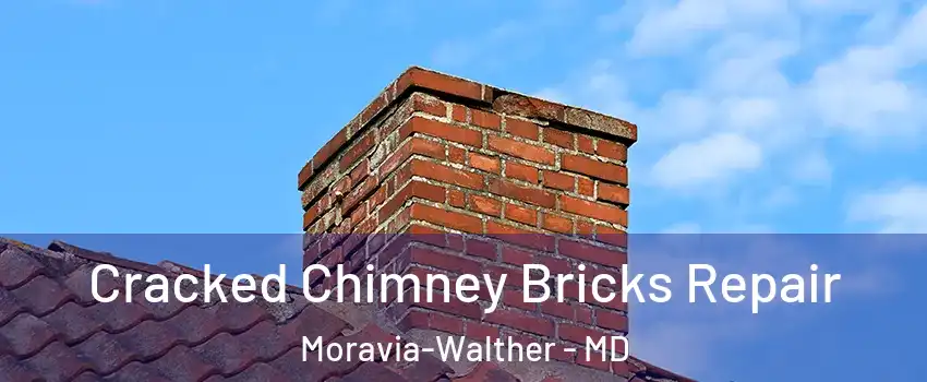 Cracked Chimney Bricks Repair Moravia-Walther - MD