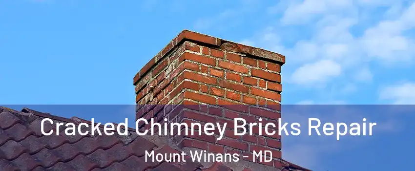 Cracked Chimney Bricks Repair Mount Winans - MD