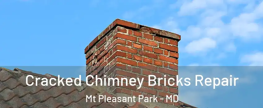 Cracked Chimney Bricks Repair Mt Pleasant Park - MD
