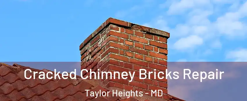 Cracked Chimney Bricks Repair Taylor Heights - MD