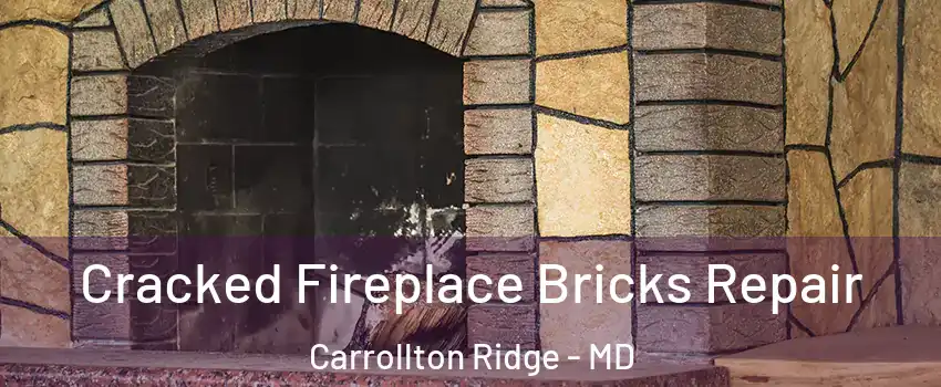 Cracked Fireplace Bricks Repair Carrollton Ridge - MD