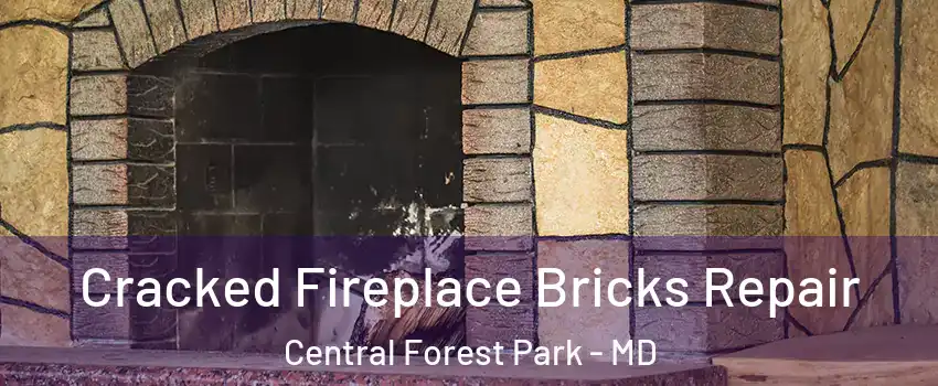 Cracked Fireplace Bricks Repair Central Forest Park - MD