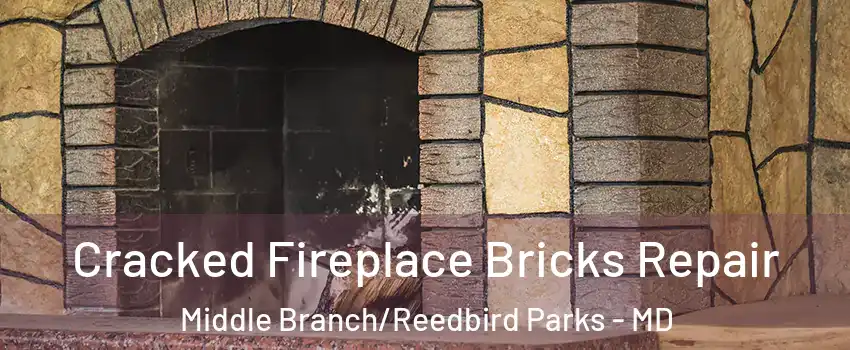 Cracked Fireplace Bricks Repair Middle Branch/Reedbird Parks - MD