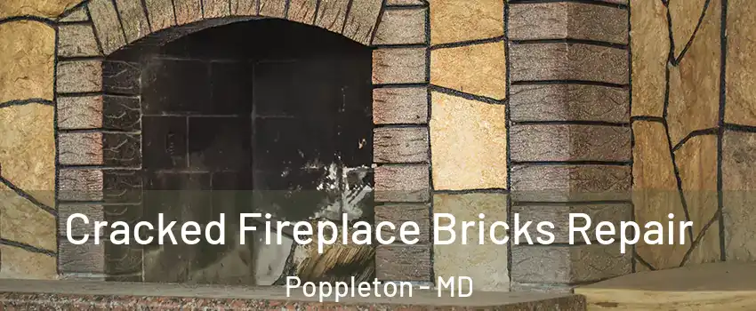 Cracked Fireplace Bricks Repair Poppleton - MD