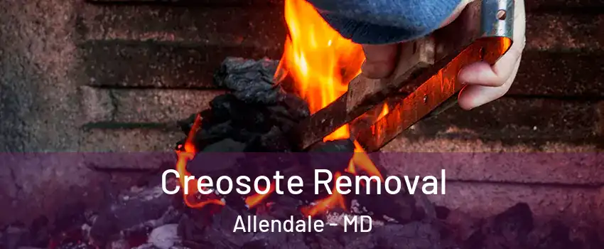 Creosote Removal Allendale - MD