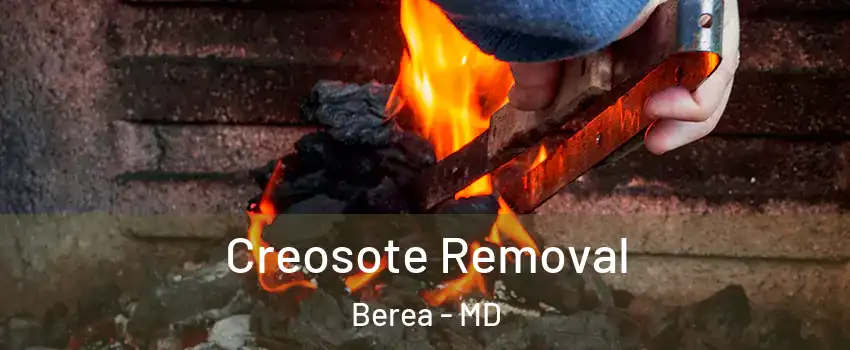 Creosote Removal Berea - MD