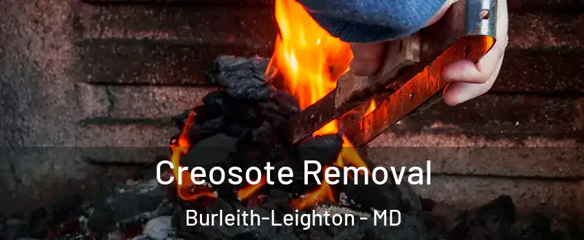 Creosote Removal Burleith-Leighton - MD