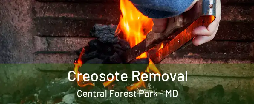 Creosote Removal Central Forest Park - MD
