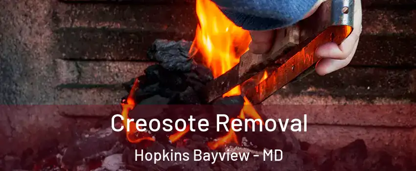Creosote Removal Hopkins Bayview - MD