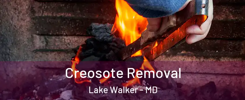 Creosote Removal Lake Walker - MD