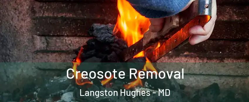 Creosote Removal Langston Hughes - MD