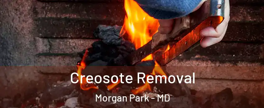 Creosote Removal Morgan Park - MD
