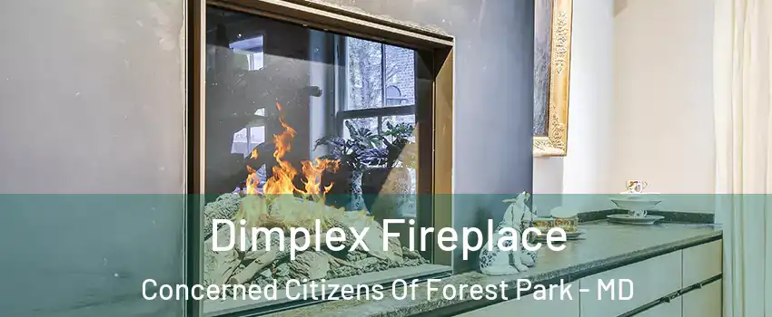 Dimplex Fireplace Concerned Citizens Of Forest Park - MD