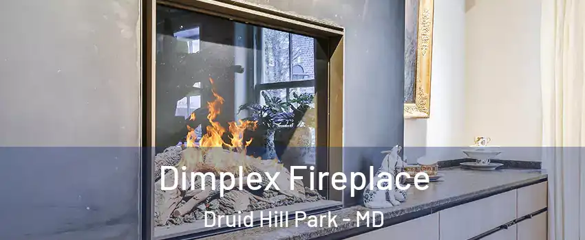 Dimplex Fireplace Druid Hill Park - MD