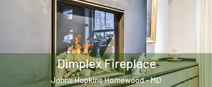 Dimplex Fireplace Johns Hopkins Homewood - MD