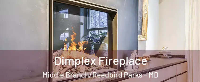 Dimplex Fireplace Middle Branch/Reedbird Parks - MD