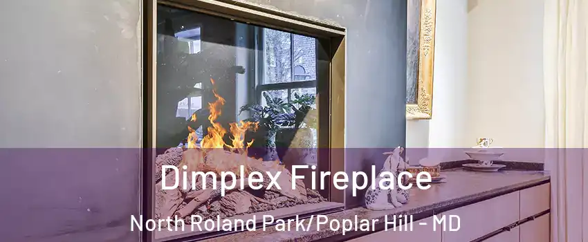 Dimplex Fireplace North Roland Park/Poplar Hill - MD
