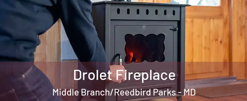 Drolet Fireplace Middle Branch/Reedbird Parks - MD