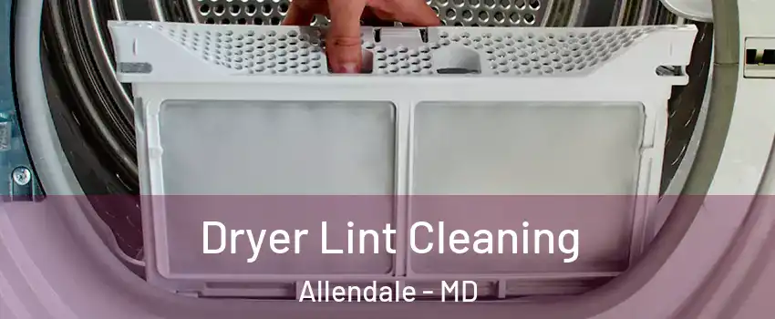 Dryer Lint Cleaning Allendale - MD