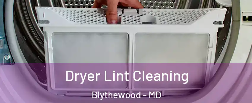 Dryer Lint Cleaning Blythewood - MD