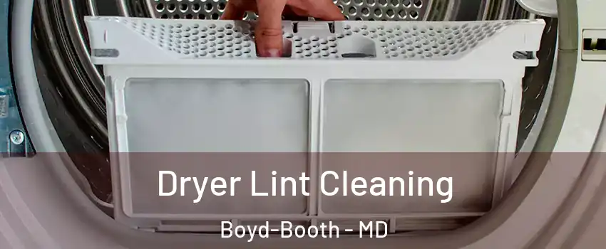Dryer Lint Cleaning Boyd-Booth - MD