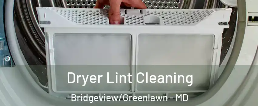 Dryer Lint Cleaning Bridgeview/Greenlawn - MD