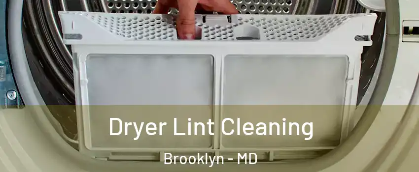 Dryer Lint Cleaning Brooklyn - MD