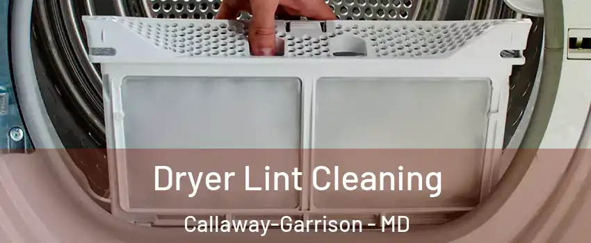 Dryer Lint Cleaning Callaway-Garrison - MD