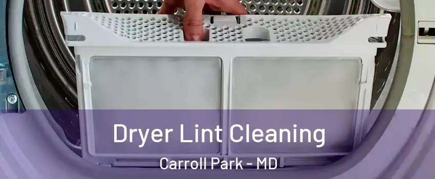 Dryer Lint Cleaning Carroll Park - MD