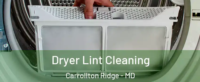 Dryer Lint Cleaning Carrollton Ridge - MD