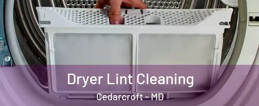 Dryer Lint Cleaning Cedarcroft - MD