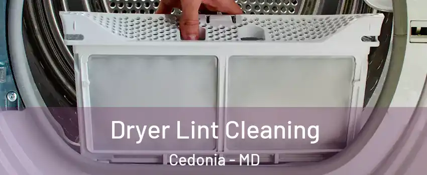 Dryer Lint Cleaning Cedonia - MD
