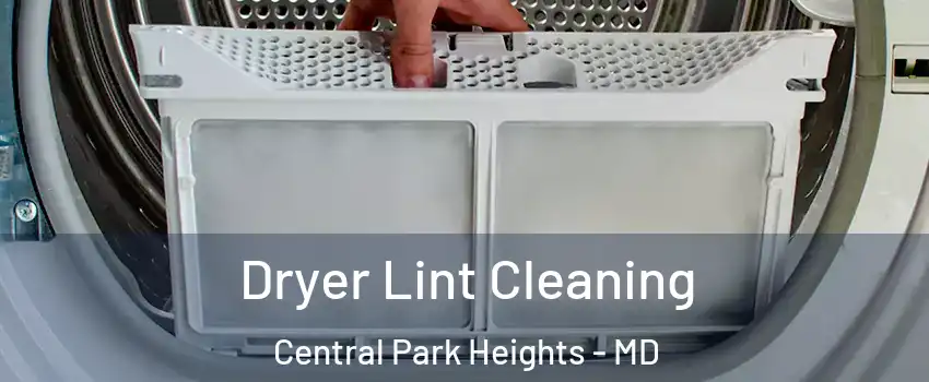 Dryer Lint Cleaning Central Park Heights - MD