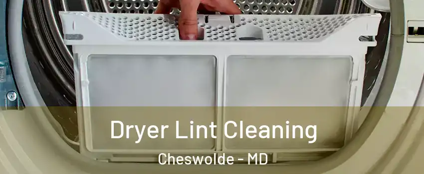 Dryer Lint Cleaning Cheswolde - MD
