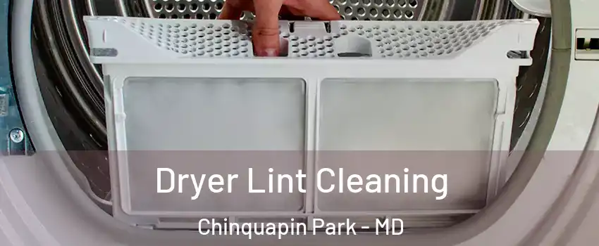 Dryer Lint Cleaning Chinquapin Park - MD
