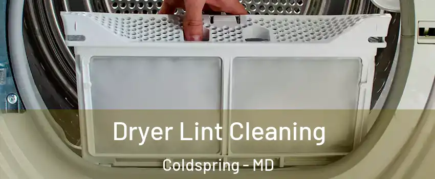 Dryer Lint Cleaning Coldspring - MD