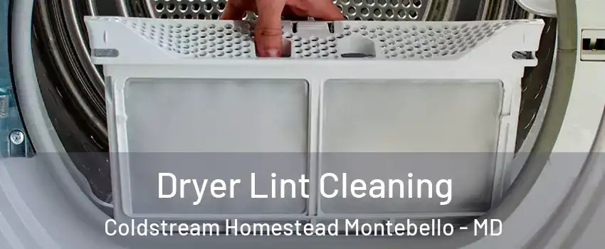 Dryer Lint Cleaning Coldstream Homestead Montebello - MD