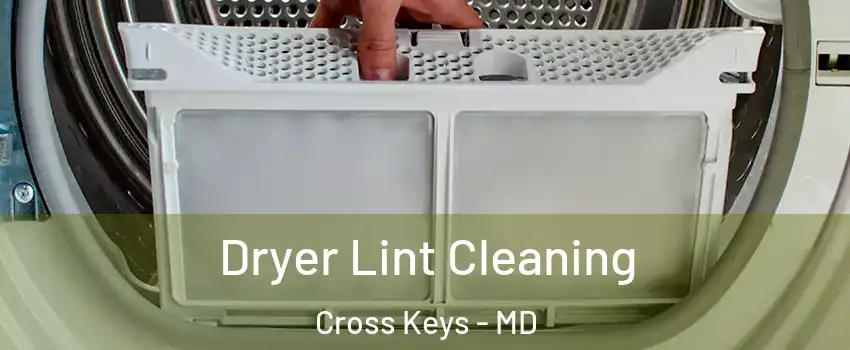 Dryer Lint Cleaning Cross Keys - MD